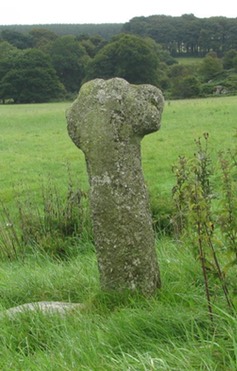 Ballysize Lower, Co. Wicklow