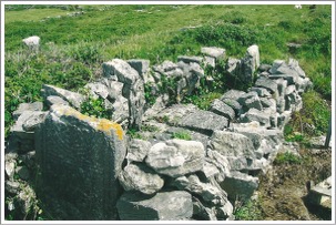 Temple Brecan, Inishmore, Ireland, North Cross