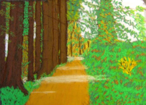 Gorton, Co. Tyrone, Ireland, Forest Path, original art