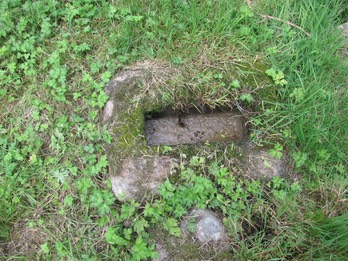 Rossminoge North cross base, Co. Wexford, Ireland