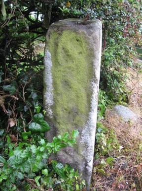 Clonfad Rattin County Westmeath, cross-shaft